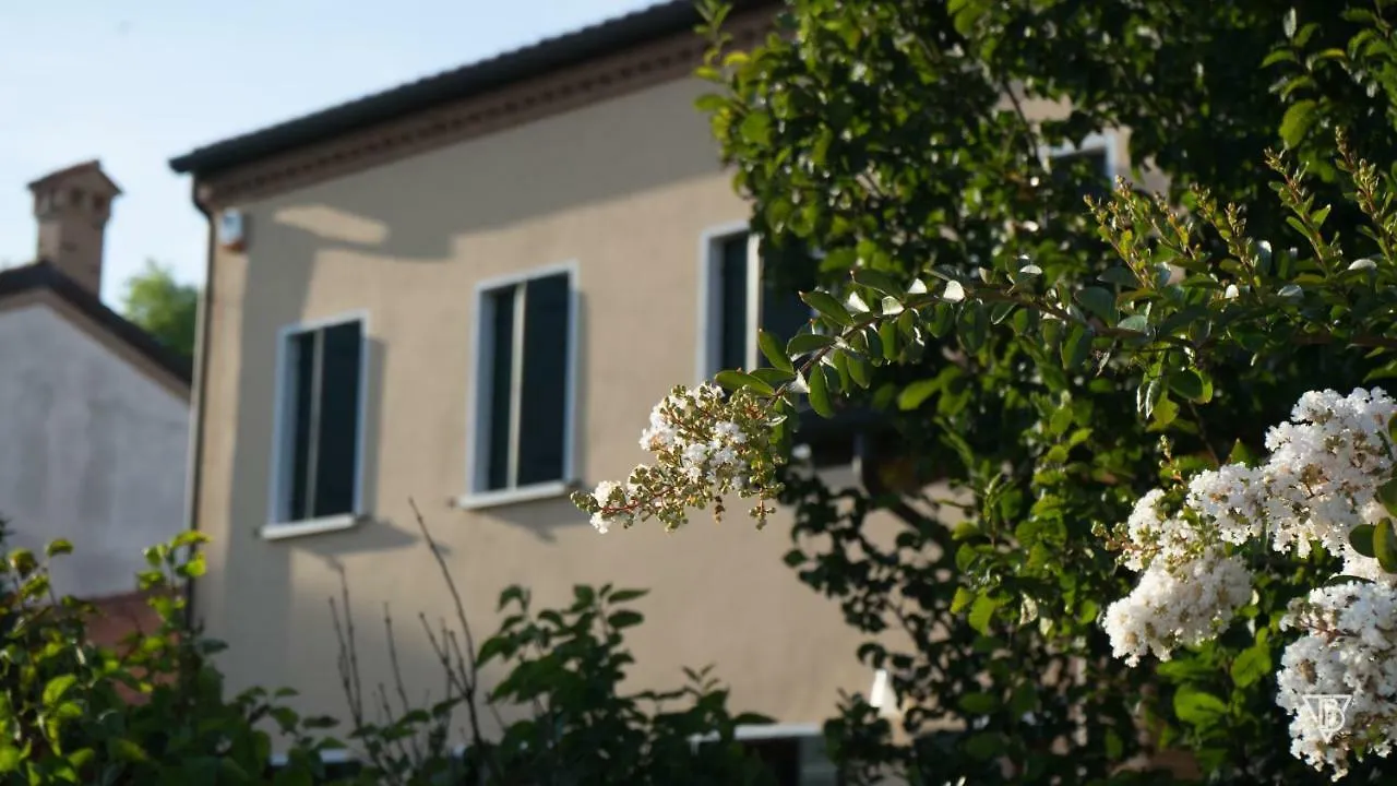 Antico Alveo B&B Camponogara Guest house