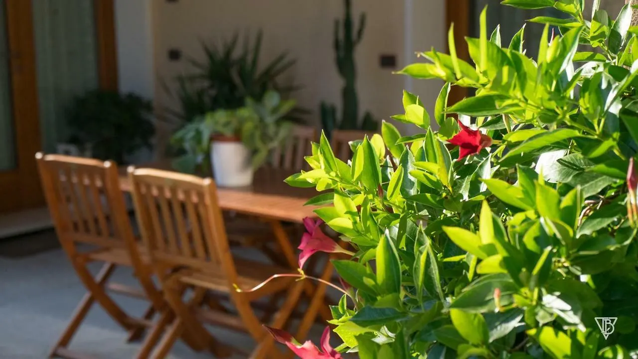 Antico Alveo B&B Camponogara